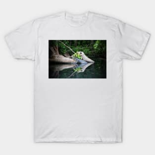 Alligator Cradled In Nature T-Shirt